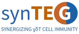 logo synTEG