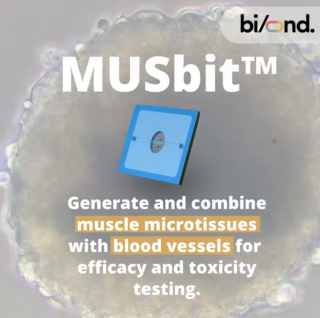 Bi/ond announces new product: The MUSbit™